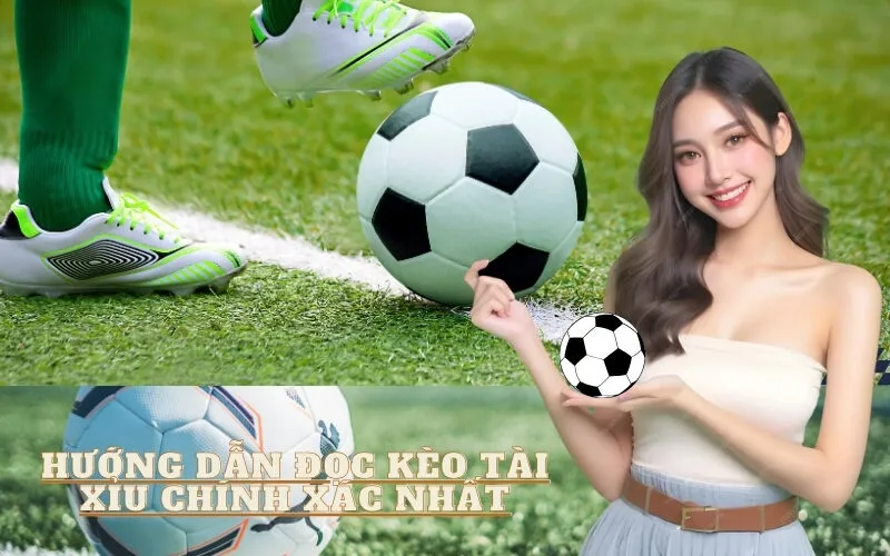 Hướng Dẫn Đọc Kèo Tài Xỉu Chính Xác Nhất